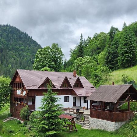 Pensiunea Susman Rachitele Exterior foto