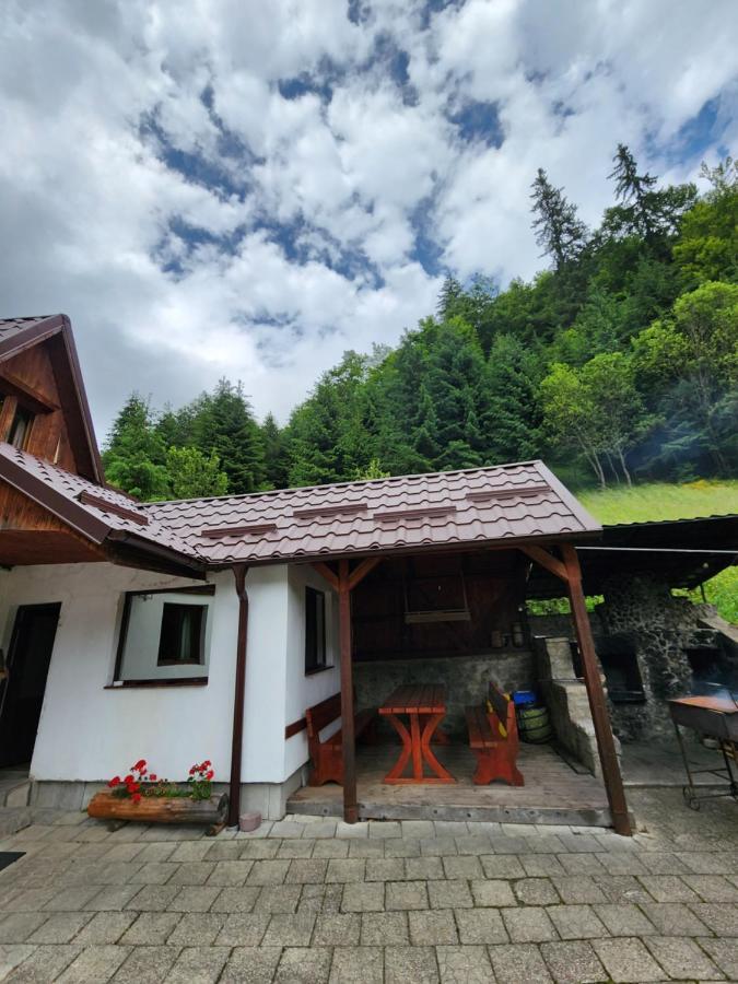 Pensiunea Susman Rachitele Exterior foto