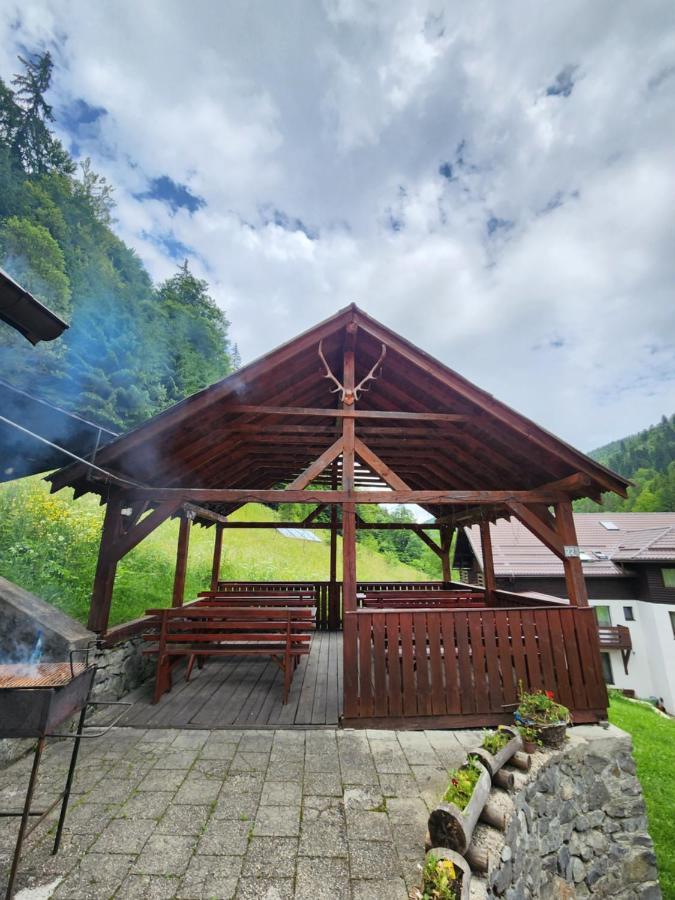 Pensiunea Susman Rachitele Exterior foto