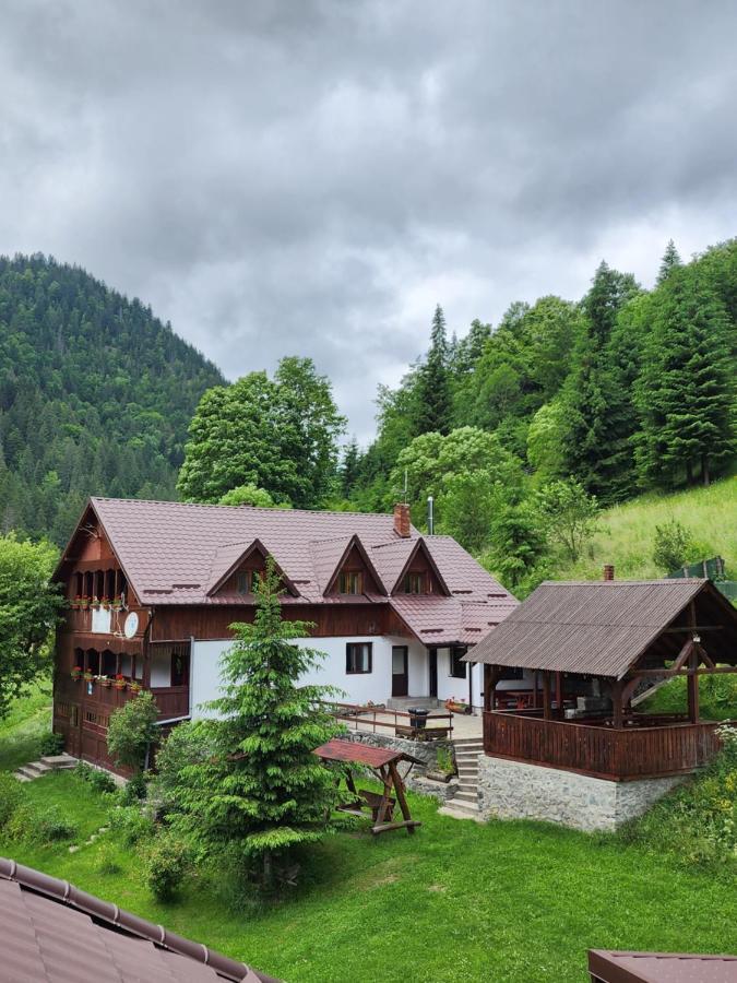 Pensiunea Susman Rachitele Exterior foto