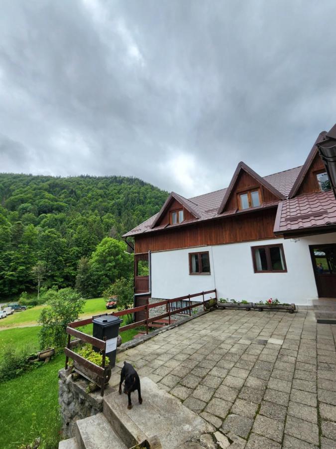Pensiunea Susman Rachitele Exterior foto