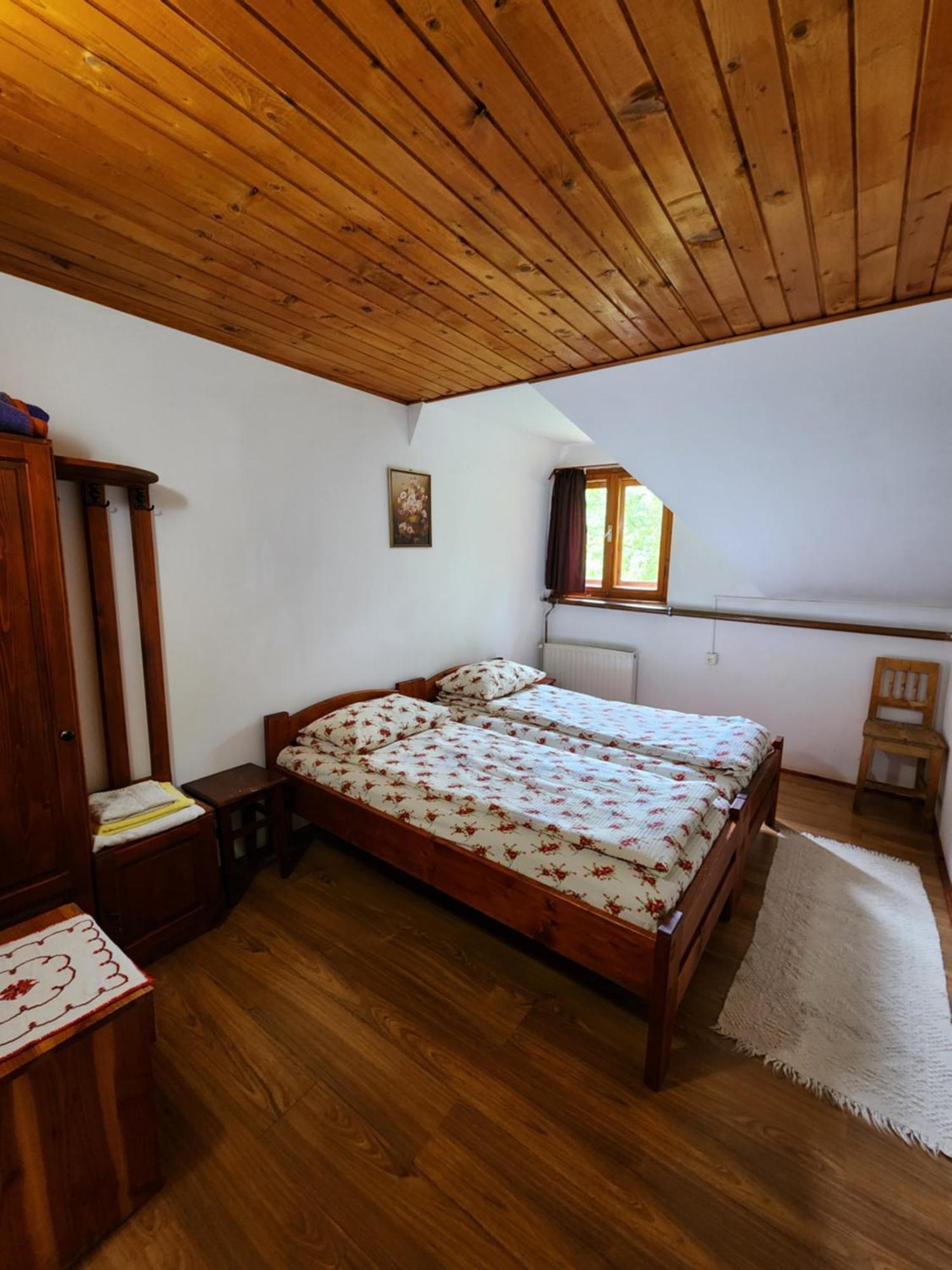 Pensiunea Susman Rachitele Exterior foto