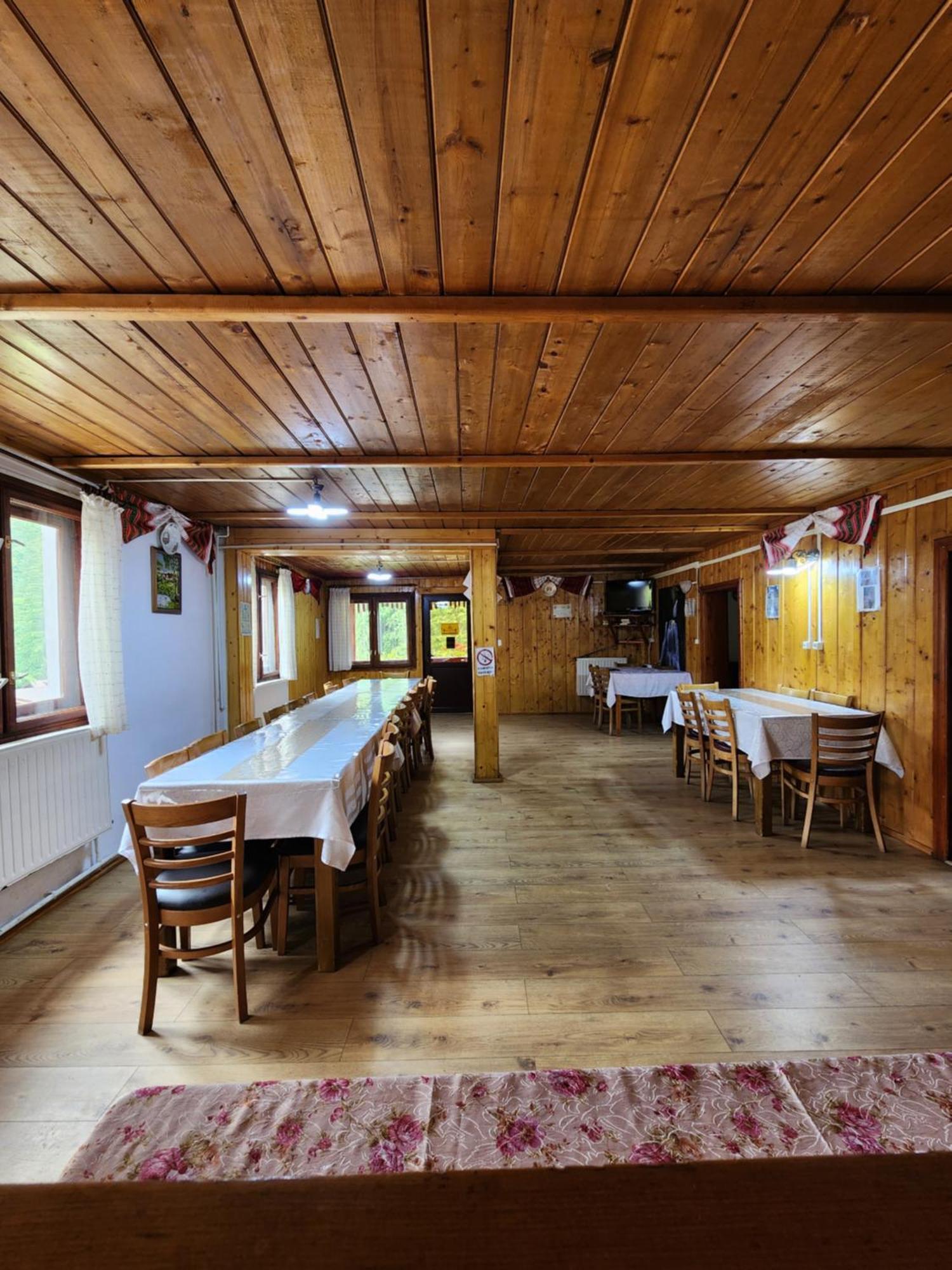 Pensiunea Susman Rachitele Exterior foto